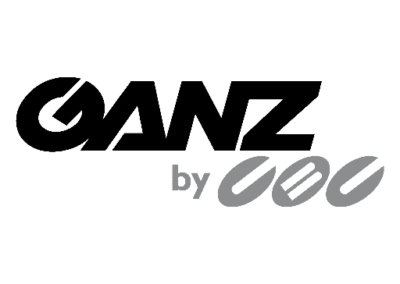 Ganz CORTROL Enterprise VMS